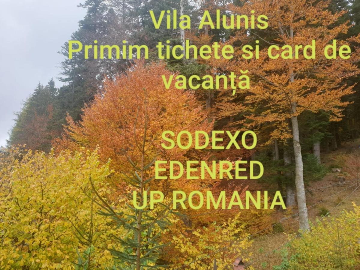 Vila Alunis Буштені Екстер'єр фото