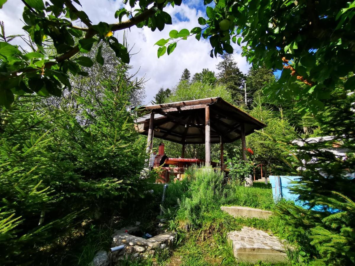 Vila Alunis Буштені Екстер'єр фото