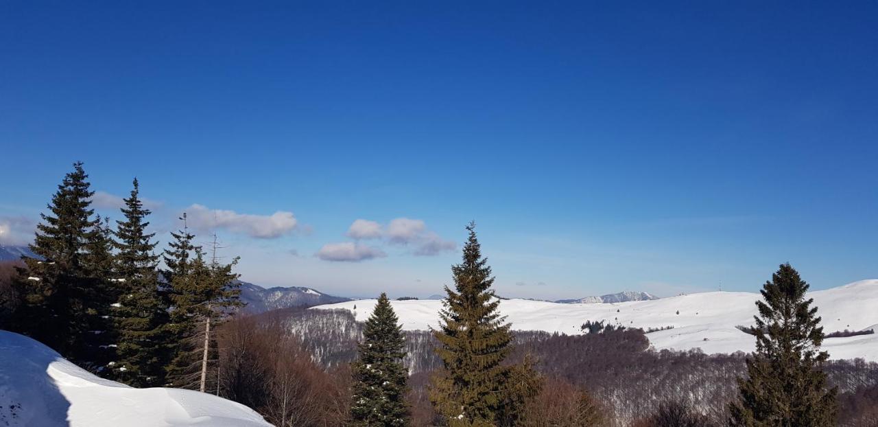 Vila Alunis Буштені Екстер'єр фото
