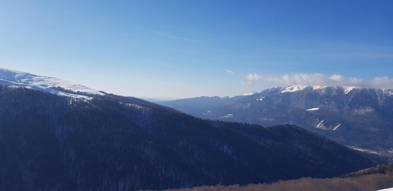 Vila Alunis Буштені Екстер'єр фото